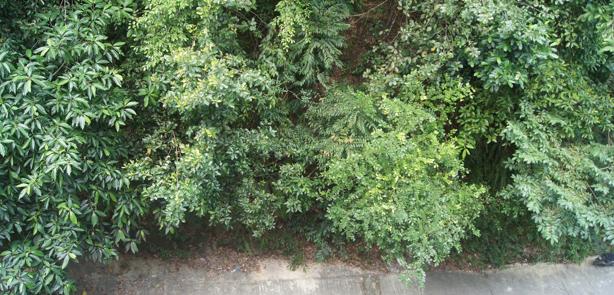 OYO 90602 Hotel Hsiang Garden SDK Exterior foto